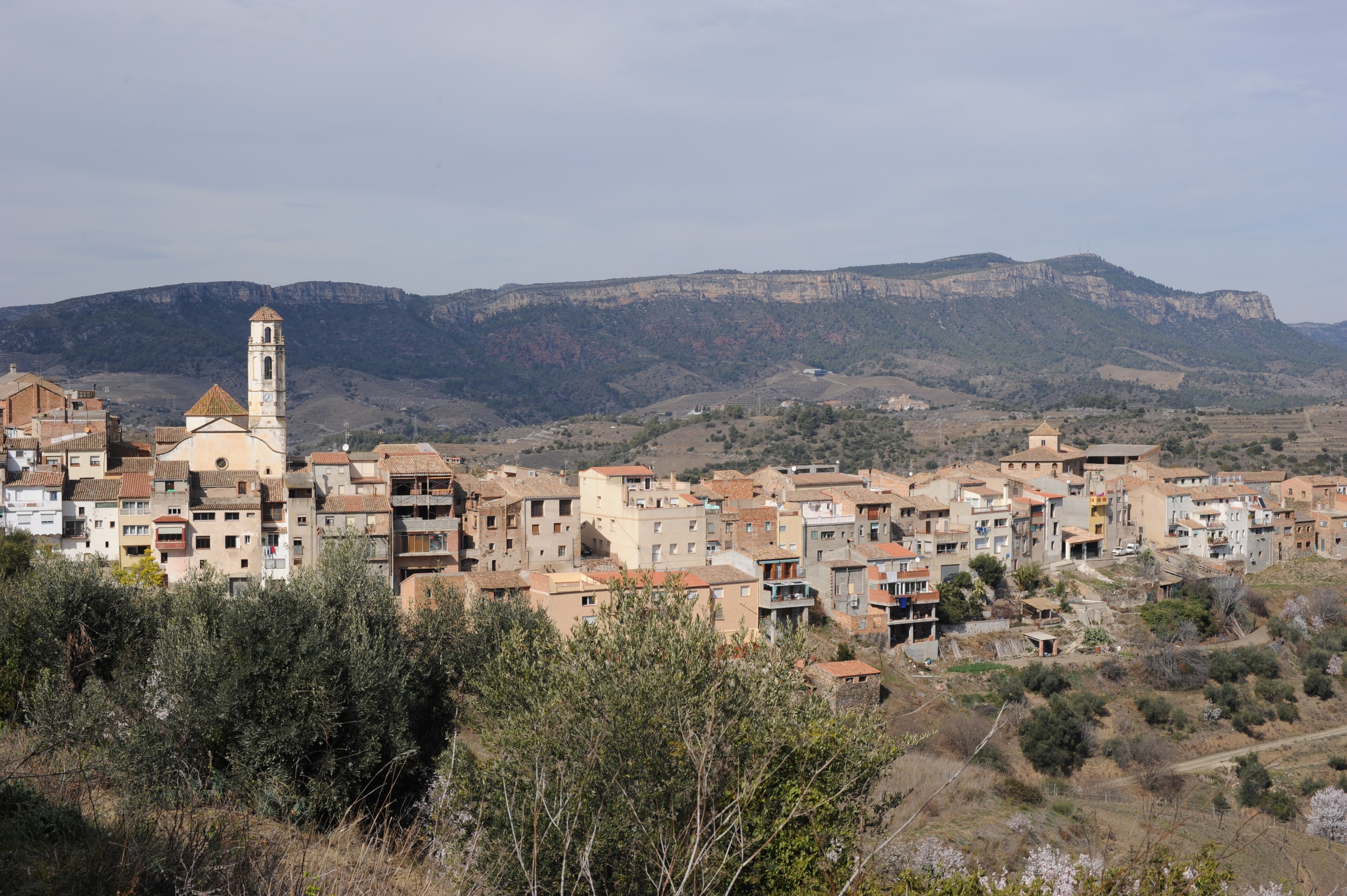 Bellmunt del Priorat across its cultivated landscape