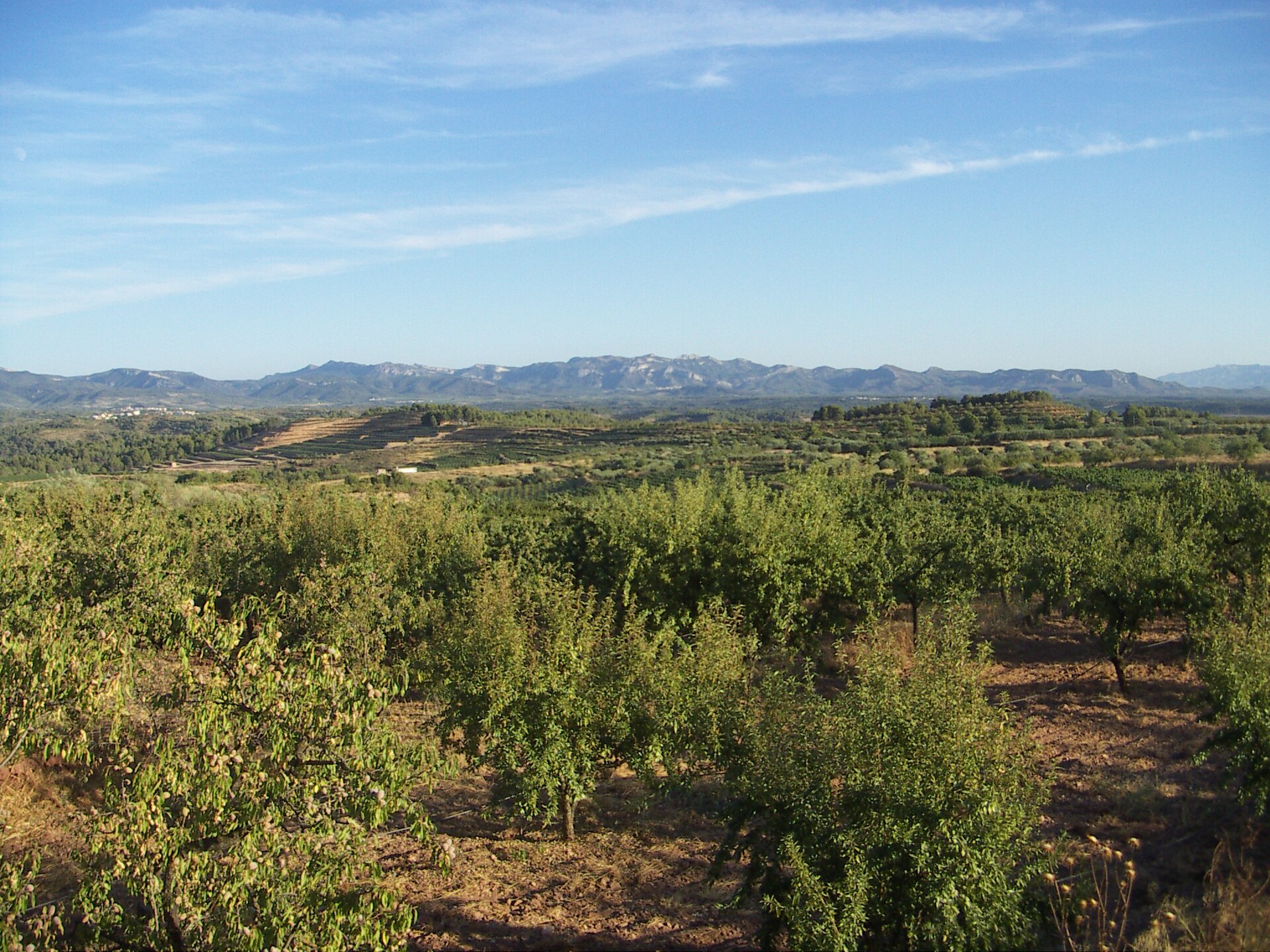 El Molar landscape context