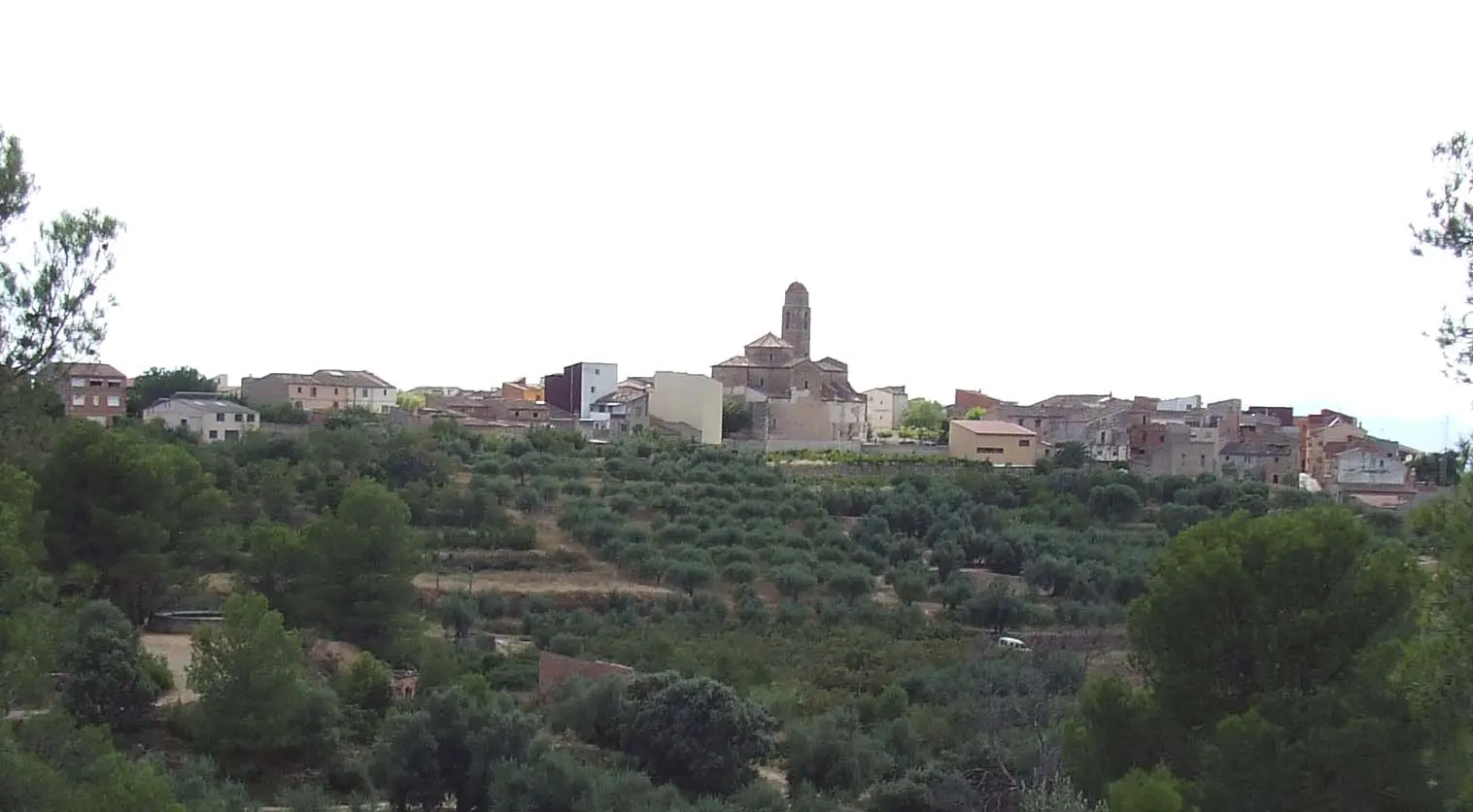 Els Guiamets landscape context