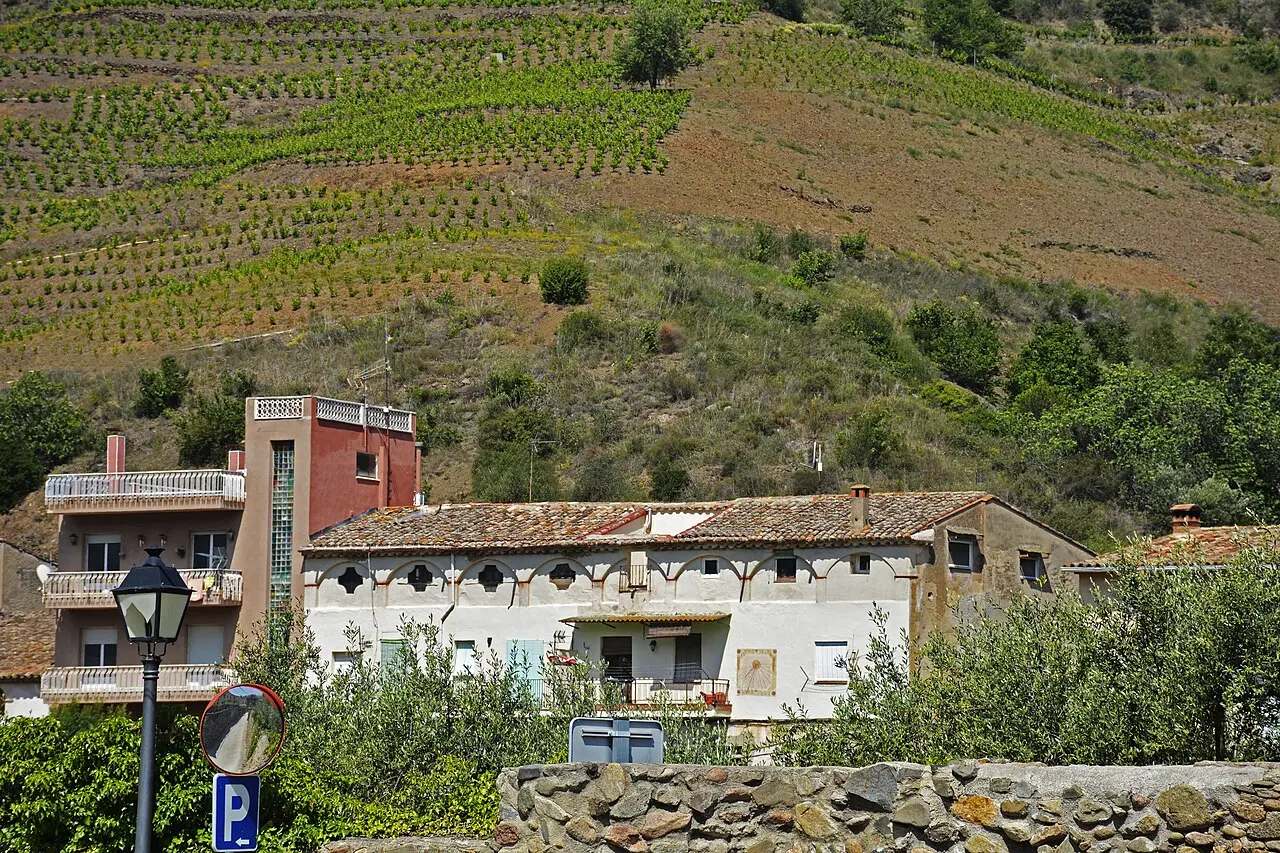 Steep vineyard ground near Porrera in DOQ Priorat