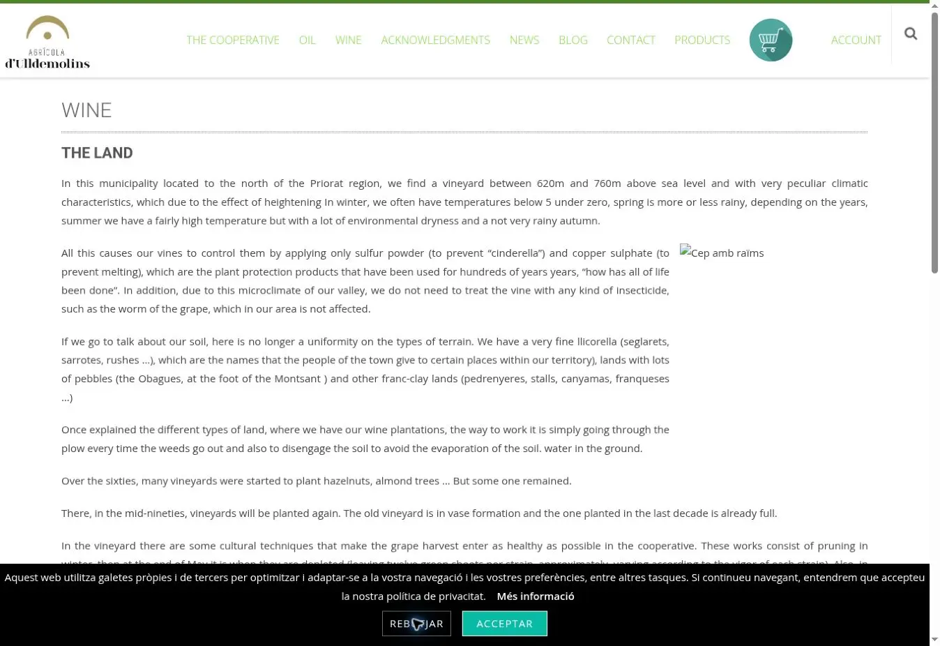 Agrícola d’Ulldemolins official website showing the cooperative’s wine landscape