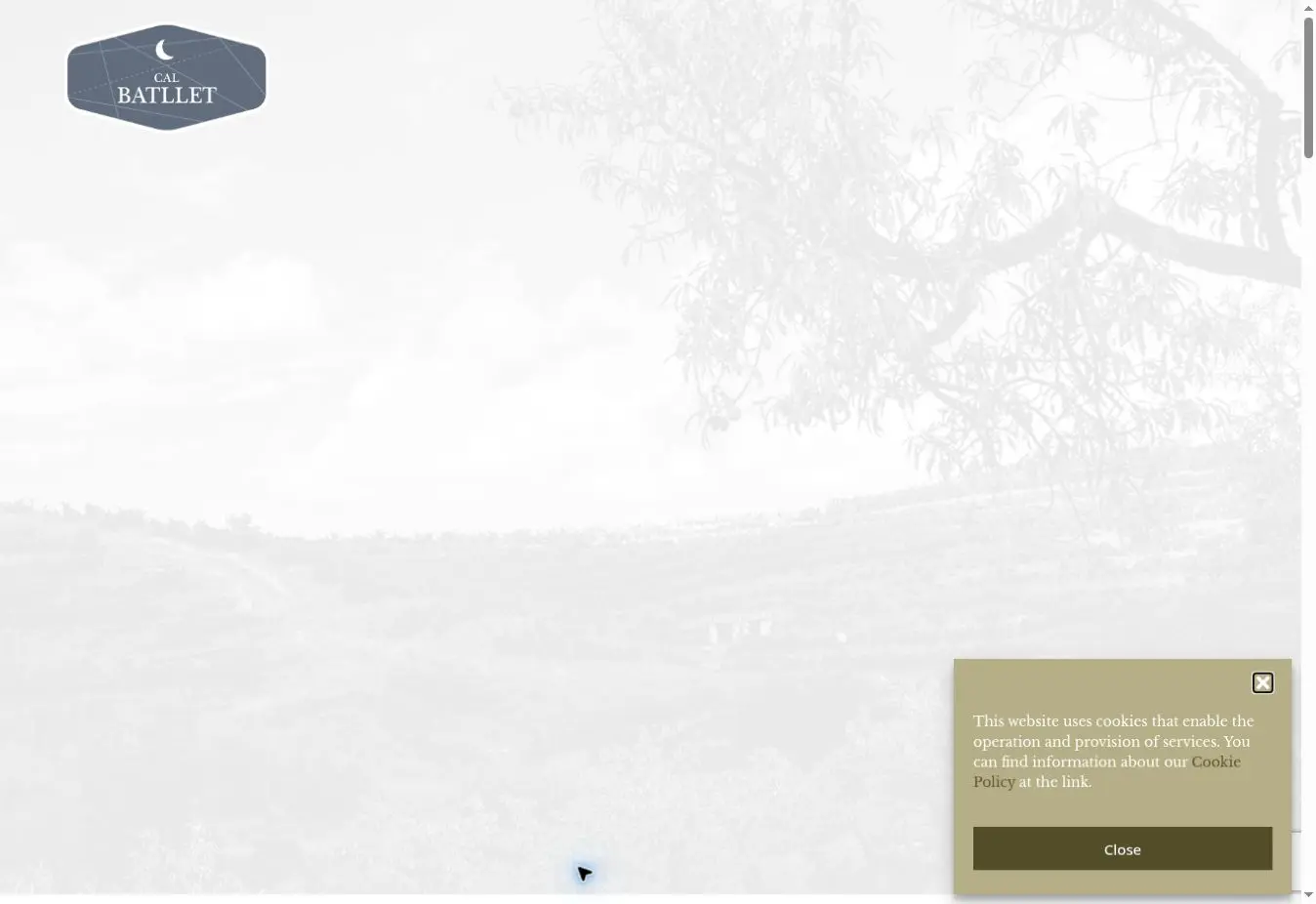 Cal Batllet official website showing its Gratallops producer identity
