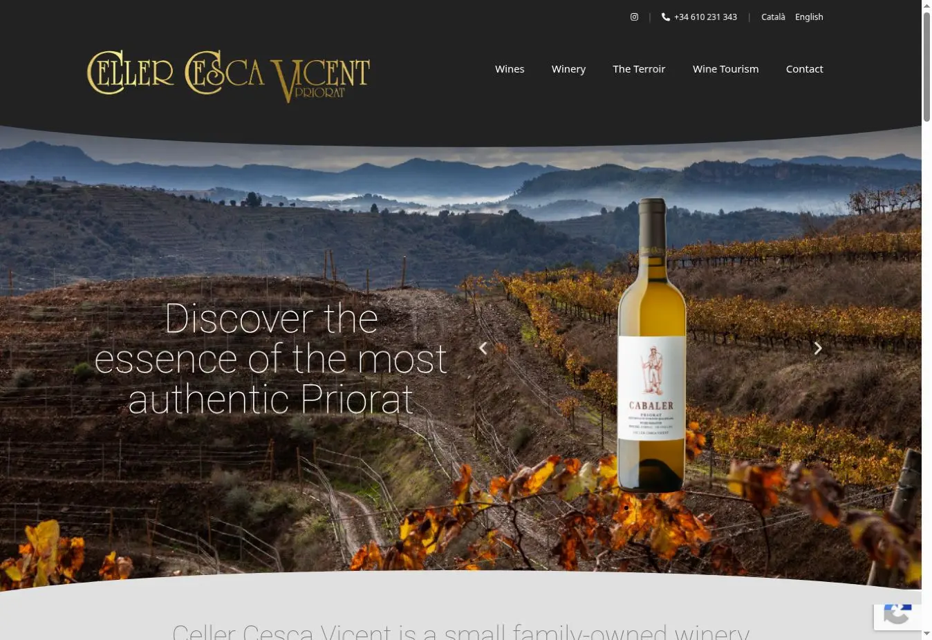 Celler Cesca Vicent official website showing its Gratallops vineyards and Priorat wine identity