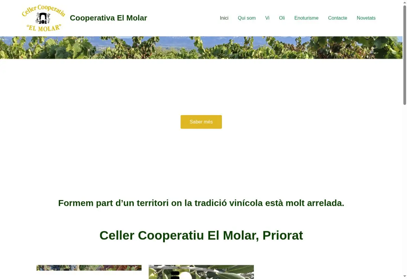 Celler Cooperatiu El Molar official website showing the cooperative and its village identity
