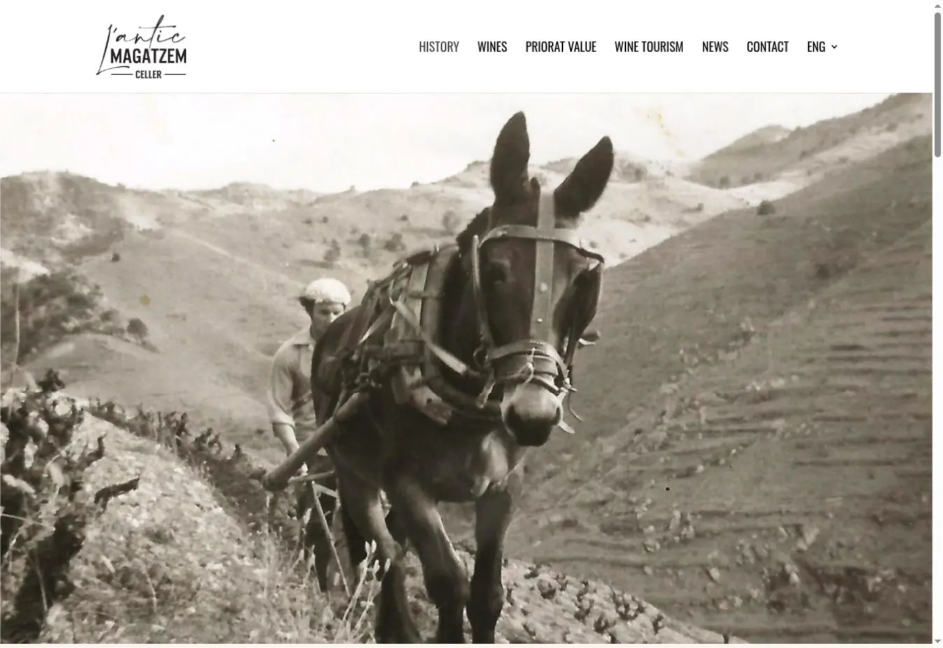 Celler l’Antic Magatzem official website showing its family history and traditional vineyard work