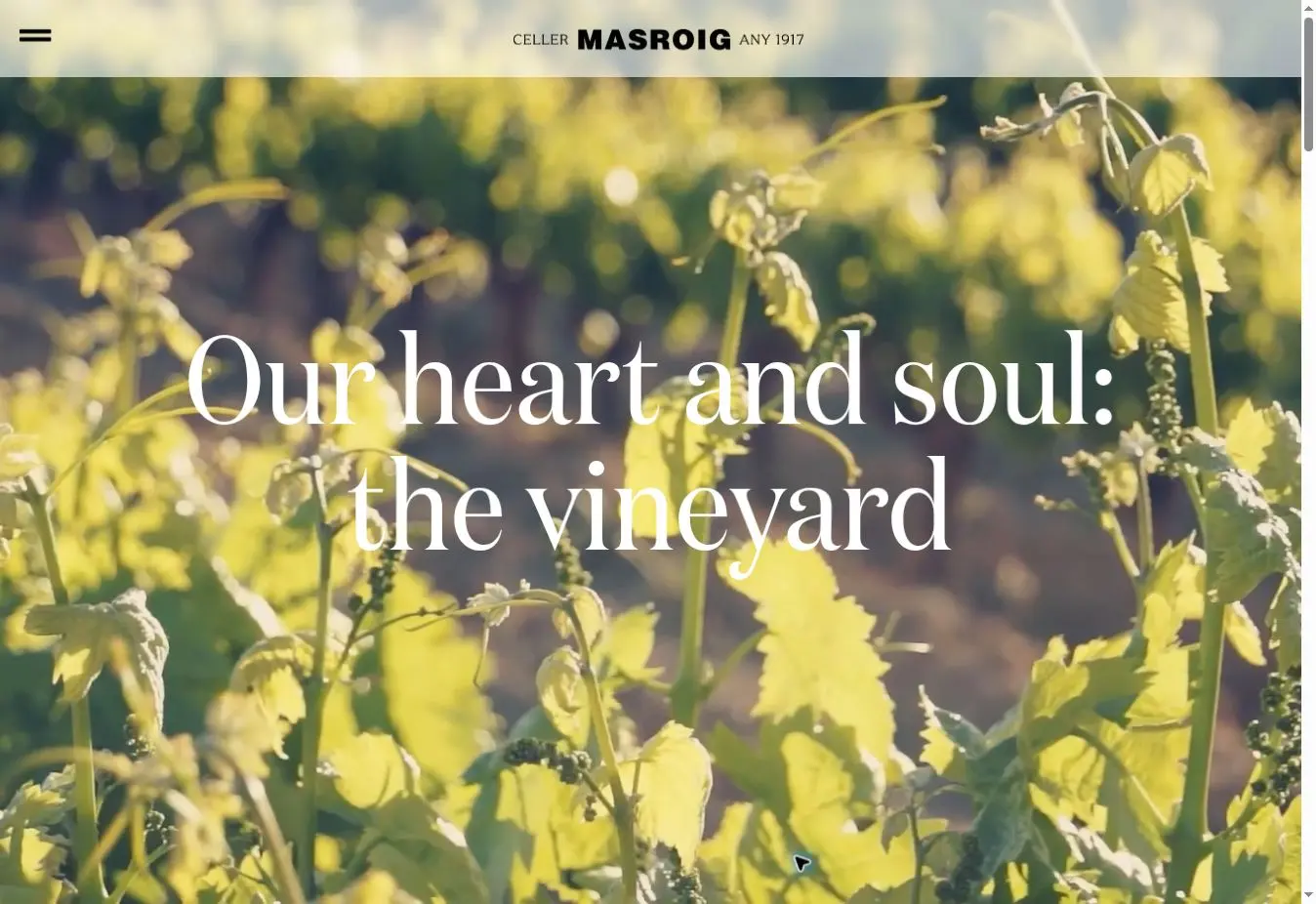 Celler Masroig official website showing its vineyard identity and current English-language homepage