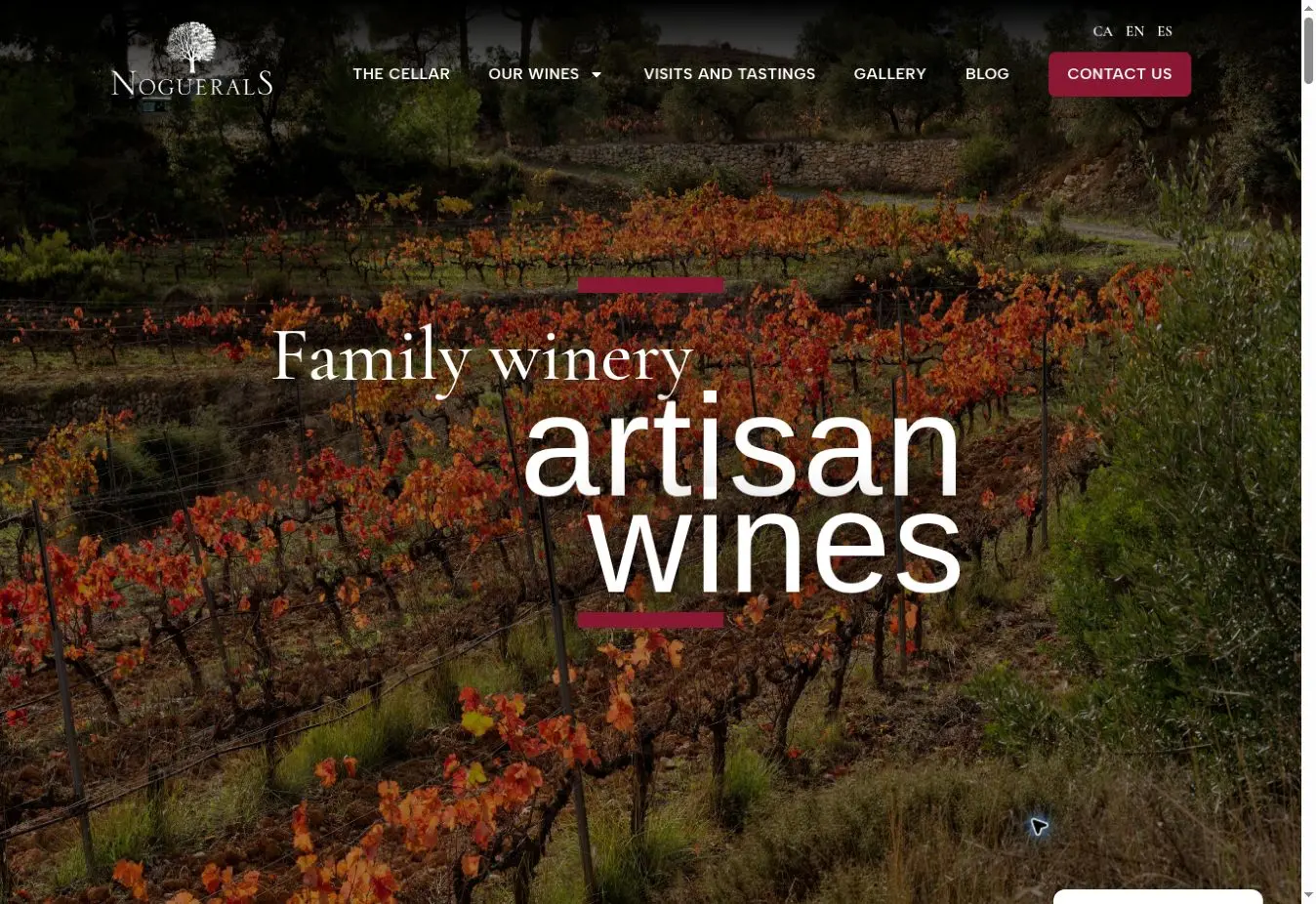 Celler Noguerals official website showing its family winery and Priorat vineyard landscape