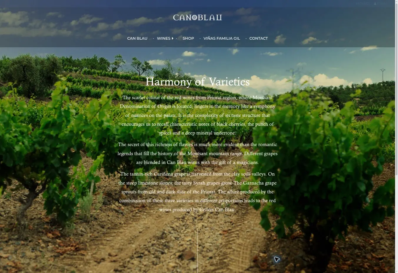 Gil Family Estates official Can Blau page showing the Montsant vineyards behind its wines