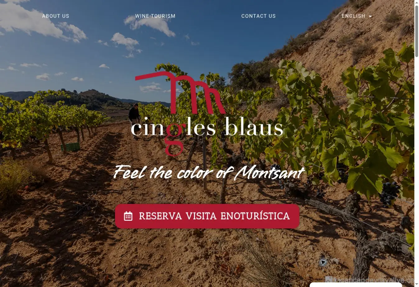 Cingles Blaus official website showing its Montsant vineyards and current visitor offer