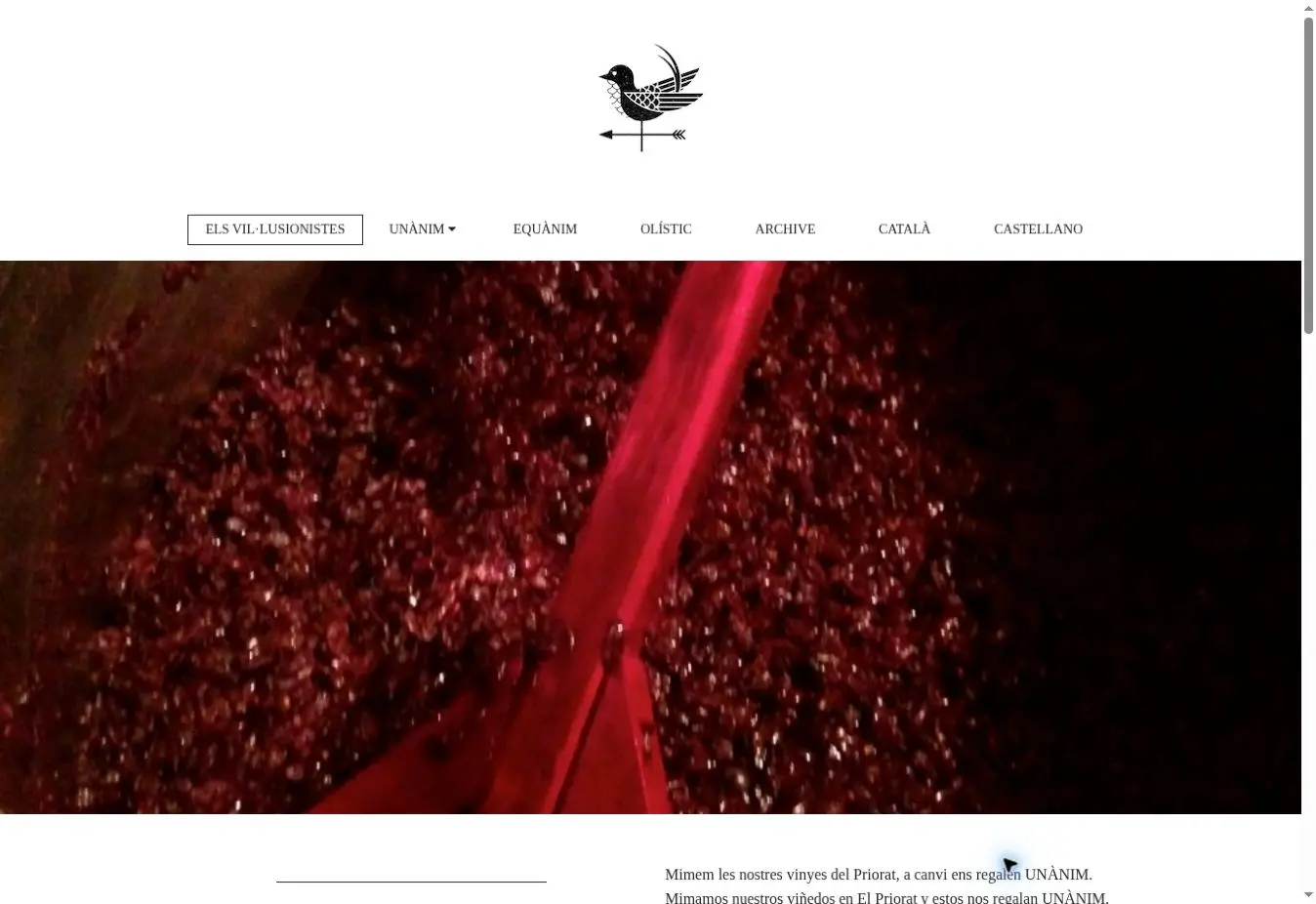 Els Vil·lusionistes official website introducing its Priorat vineyards and wine project