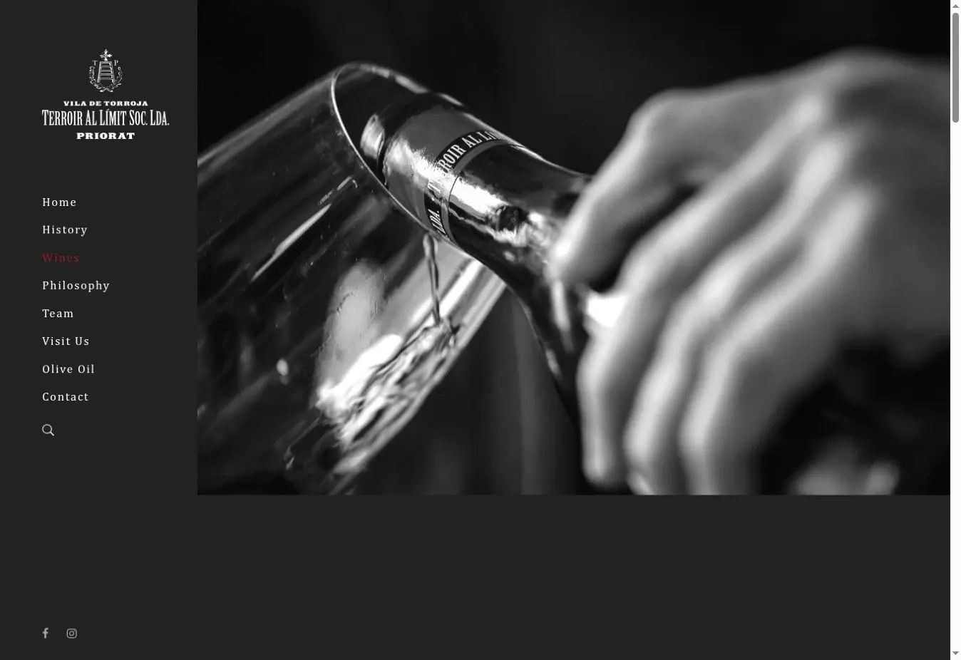 Terroir al Limit official website showing the wine family that includes Terroir Sense Fronteres
